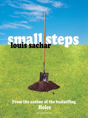 cover image of Small Steps